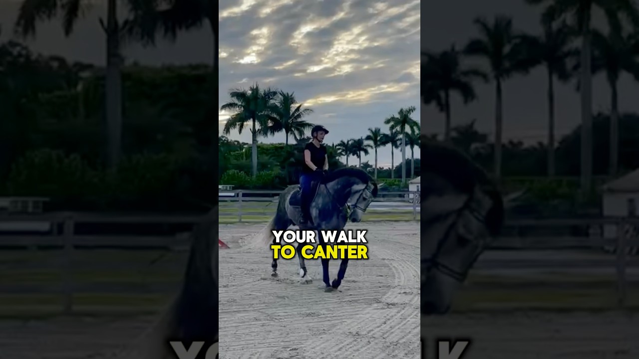 How to do walk to canter beautifully✨🏇 #equestriantips #horseriding #equestrianlife #canteringhorse