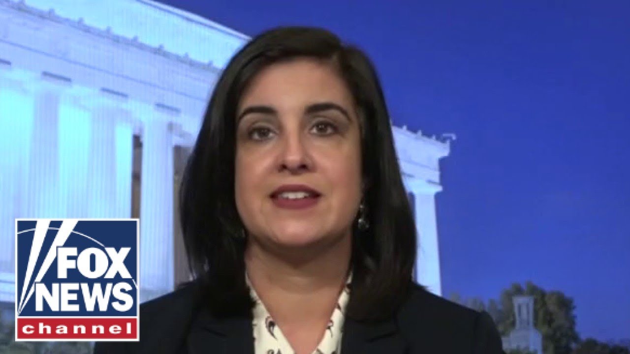 Nicole Malliotakis on a new 'anti-socialist squad' forming in Congress