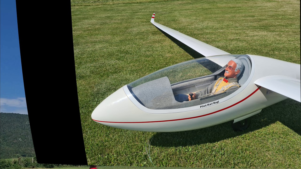 RC Pilot Decathlon und ASG 29