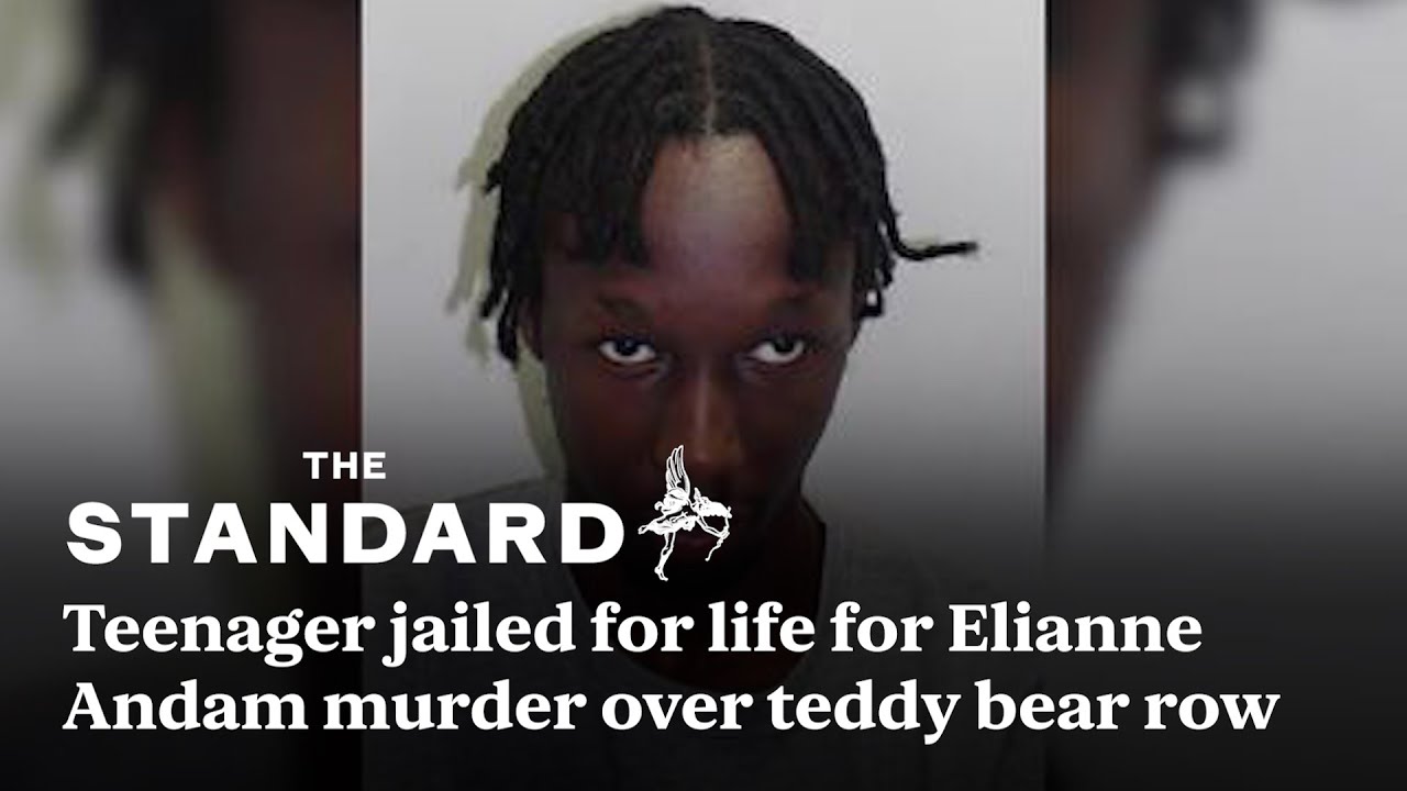 Teenager jailed for life for Elianne Andam murder over teddy bear row