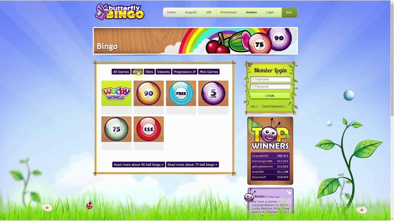 Butterfly Bingo - Fun and Dreams Come True