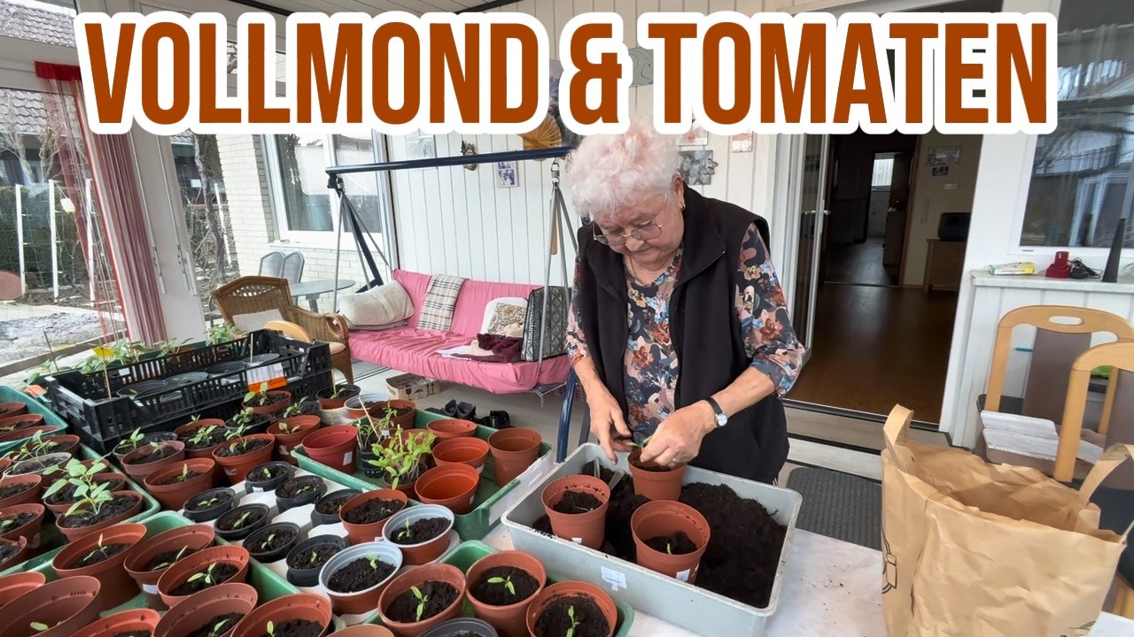 Meine Oma (81) gärtnert nach dem Mond. So pikiert sie ihre Tomaten und teilt dabei ihr Gartenwissen.