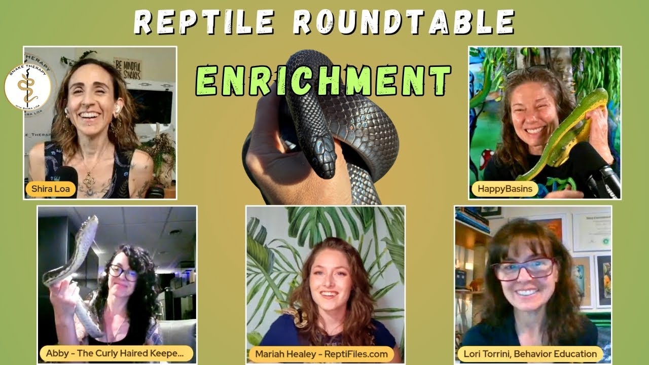 Enrichment for Snakes: Expert Advice | Reptile Roundtable Discussion