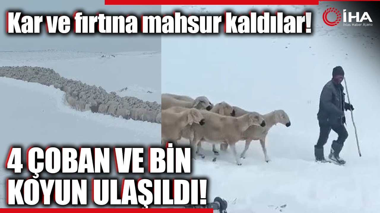 Sivas’ta Karda Mahsur Kalan 4 Çoban ve Bin Koyunun Kurtarıldı