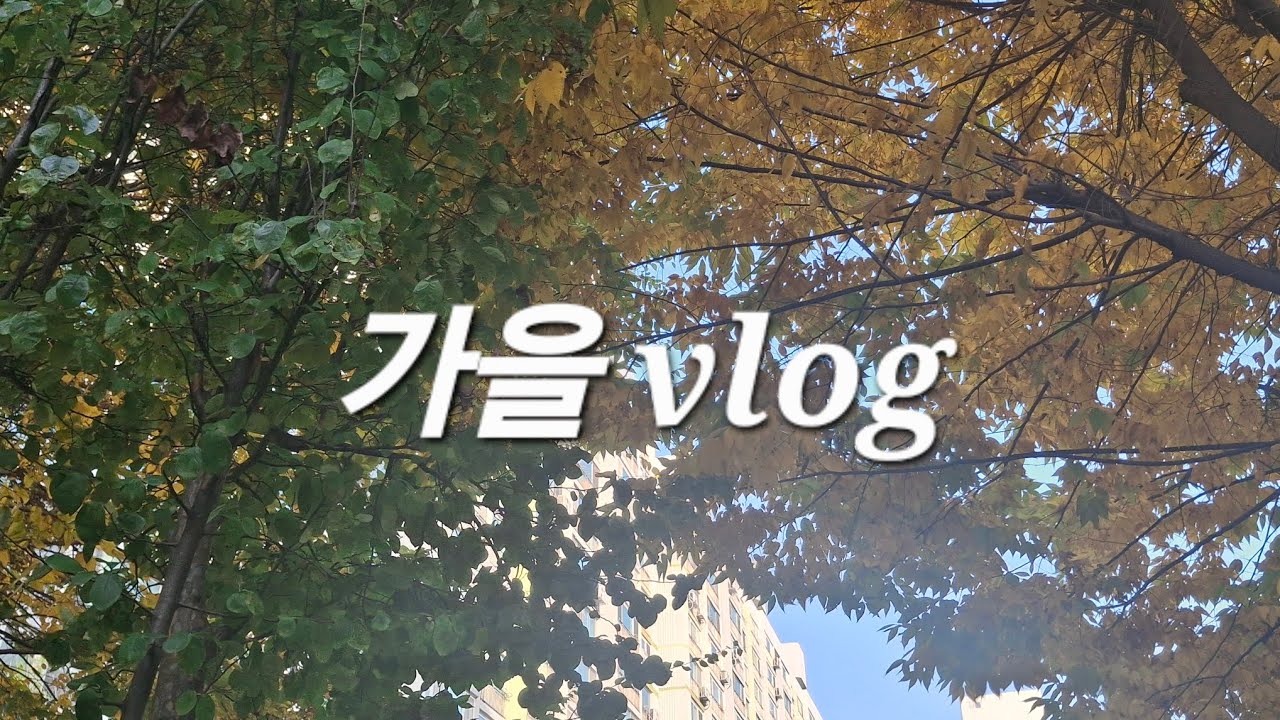 11년생 가을 브이로그     |브이로그|vlog|가을|11년생|학생