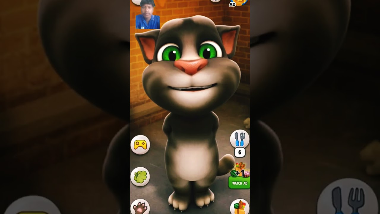 cotton #bille# cotu #cat #funny #real viral #🐈🐈🐈 Good video real viral