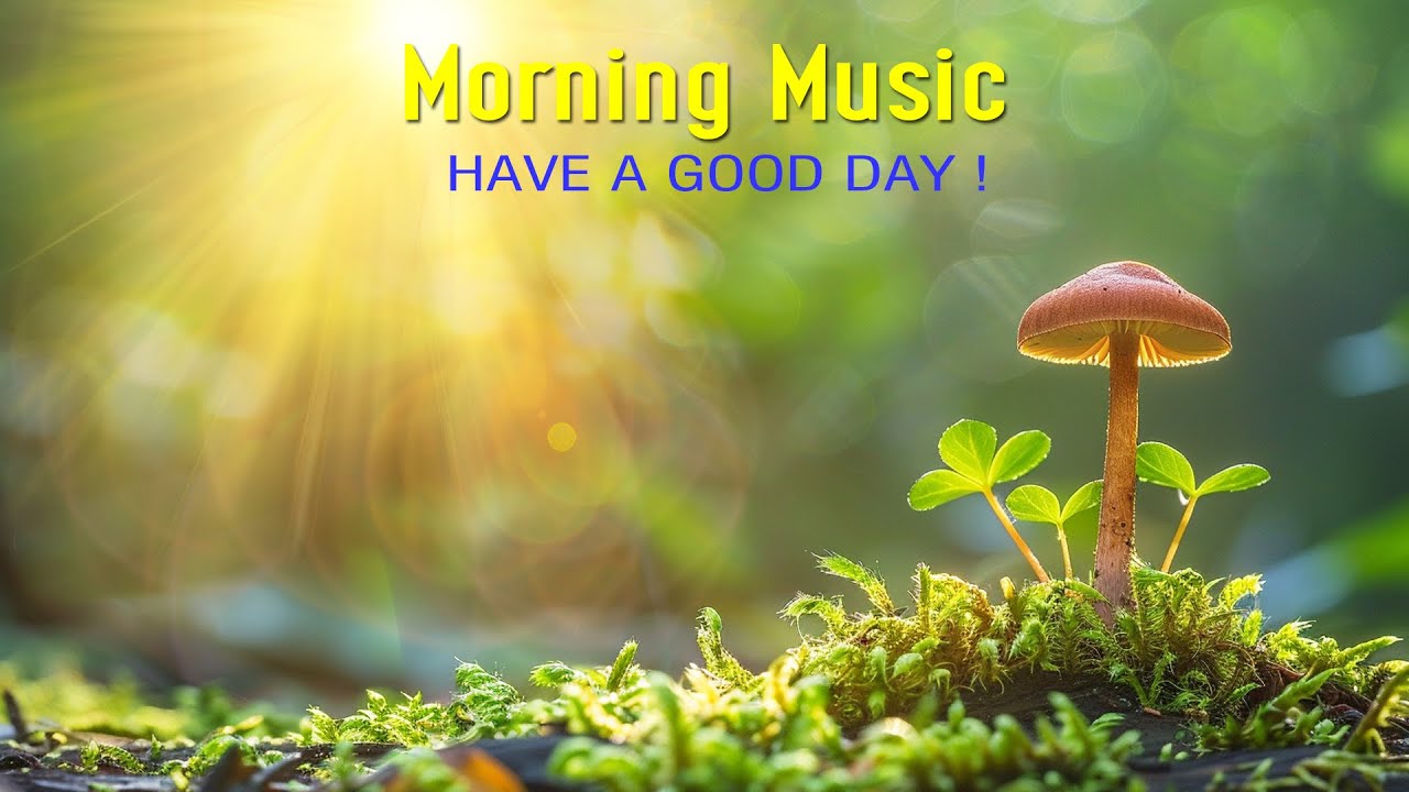 BEAUTIFUL GOOD MORNING MUSIC - Wake Up With Hope And Happin - Morning Meditation Music For Relax