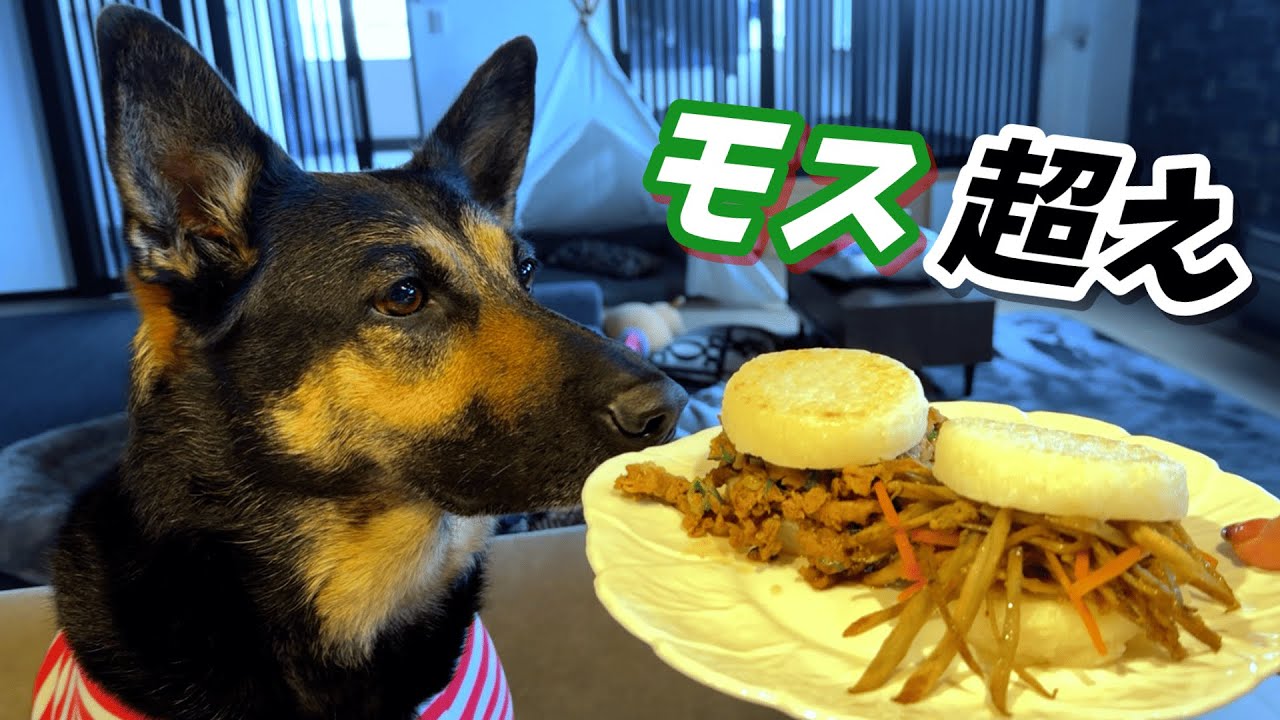 愛犬と一緒に食べられるライスバーガー作ったら、○ス超えちゃいましたw