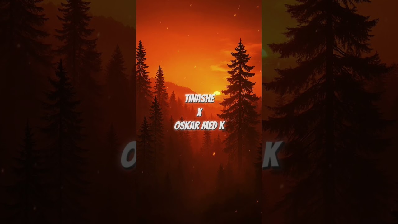 #aestheticvideos
