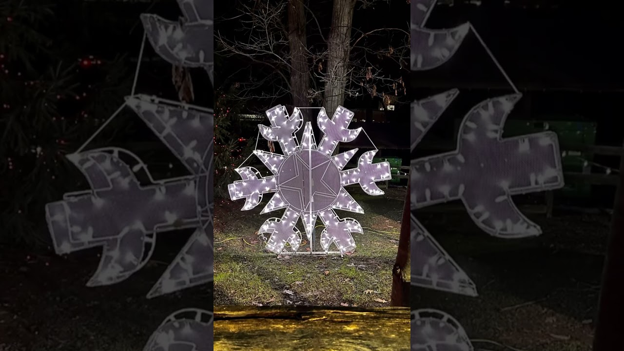 Free Christmas Activities | Holiday Lights at Turtle Back Zoo