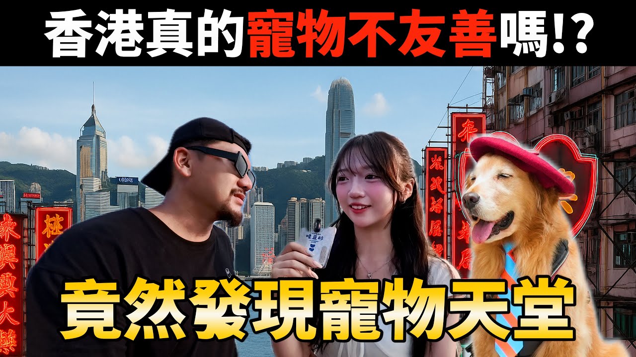 香港真的對寵物超不友善？我帶黃金獵犬實測卻驚覺：這裡竟然是狗狗的天堂！【PET IN HONG KONG PART 1 】