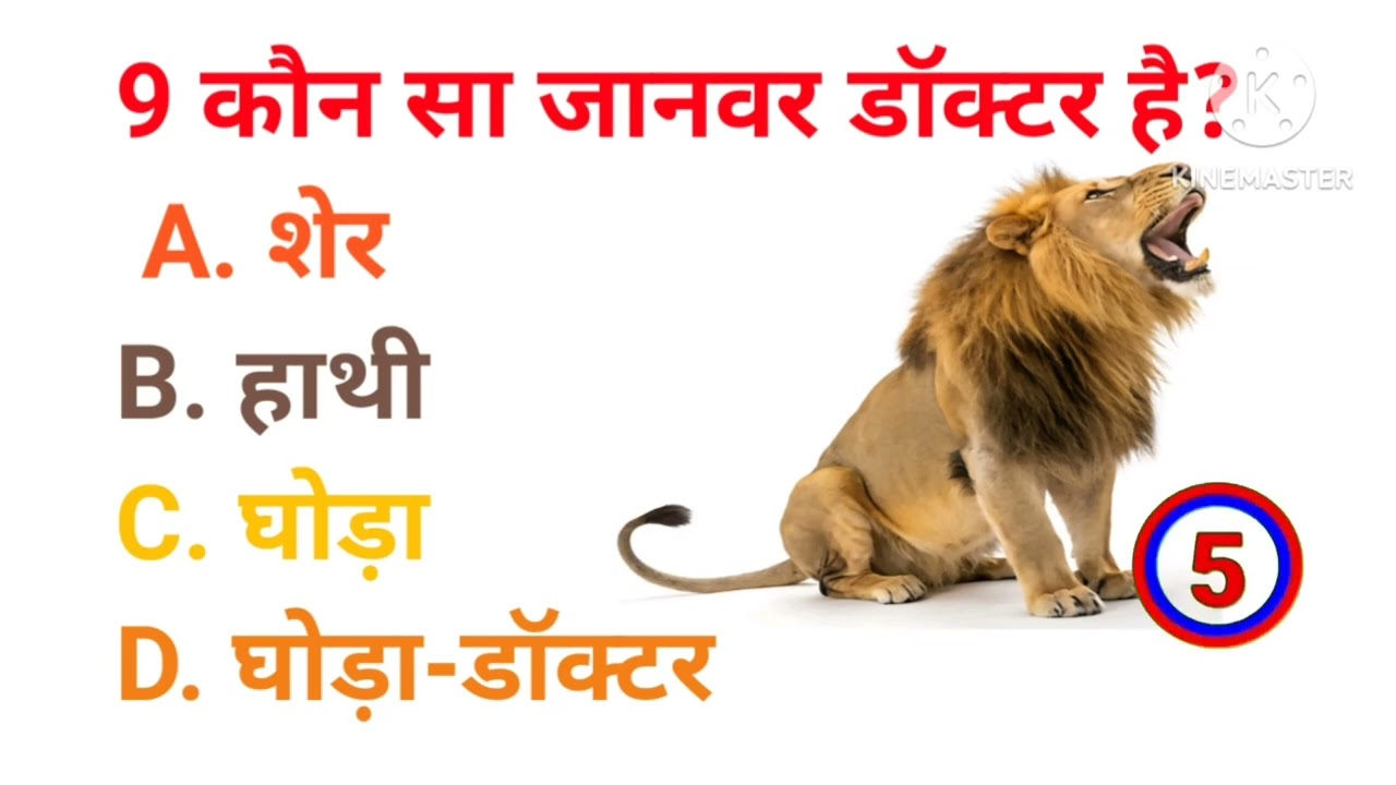  funny GK question ‼️GK question answer ‼️ GK quiz ‼️gk in hindi 