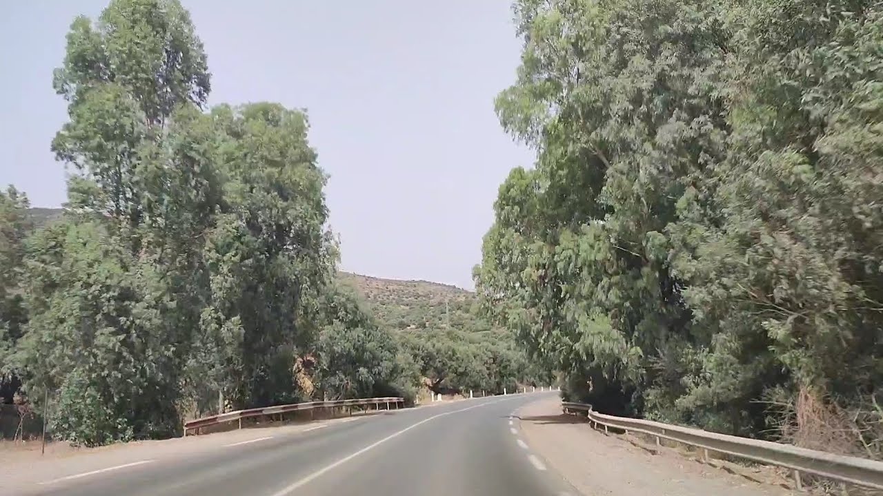 قصة الانتقام الكبير دحمان يثأر لإغتيال فريد ب 42 ارهابي في جيجل سنوات العشرية السوداء في الجزائر 🇩🇿