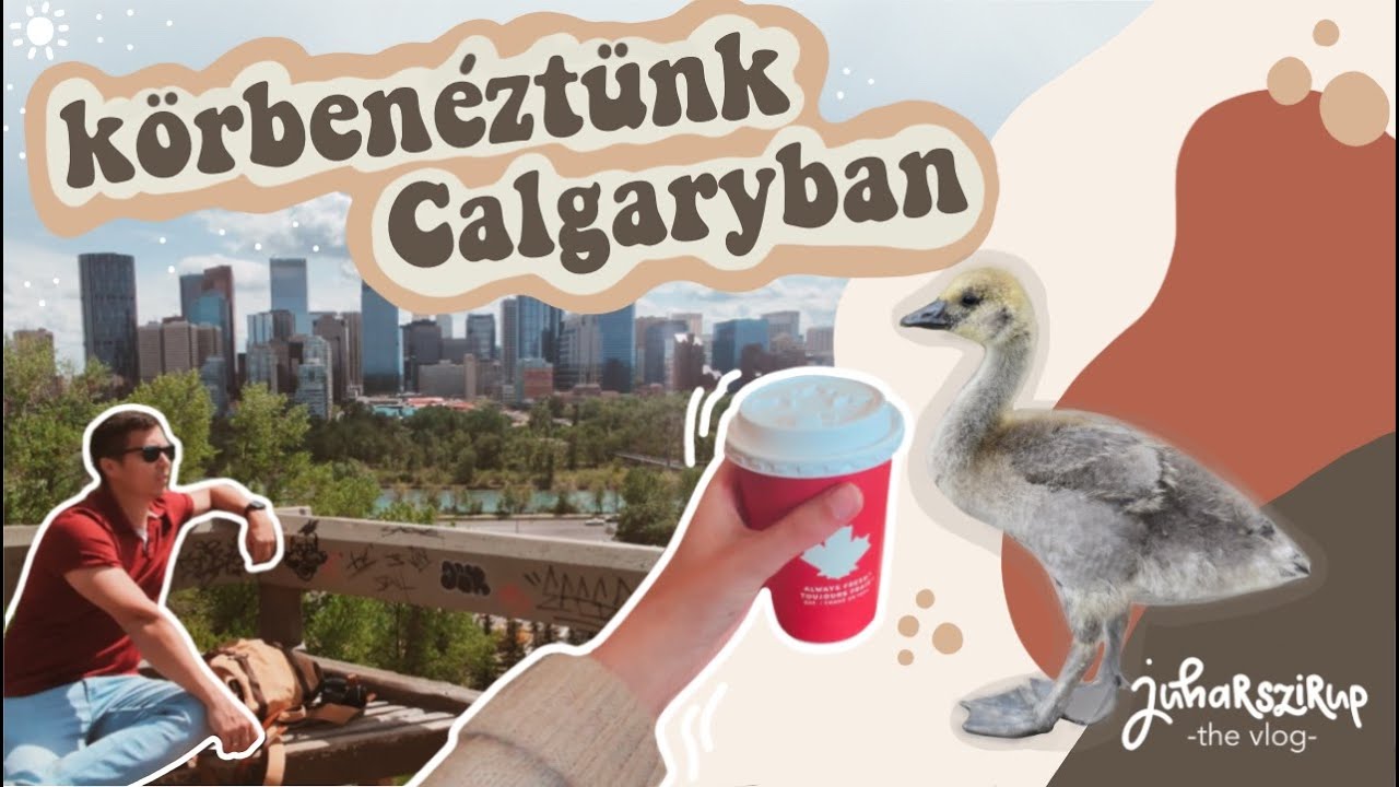 A kedvenc városunk Kanadában - ez Calgary, ahol élünk 🏙🇨🇦