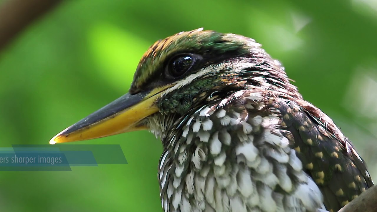 Tamron SP 150-600mm F/5-6.3 Di VC USD G2 by Albert Tamayo