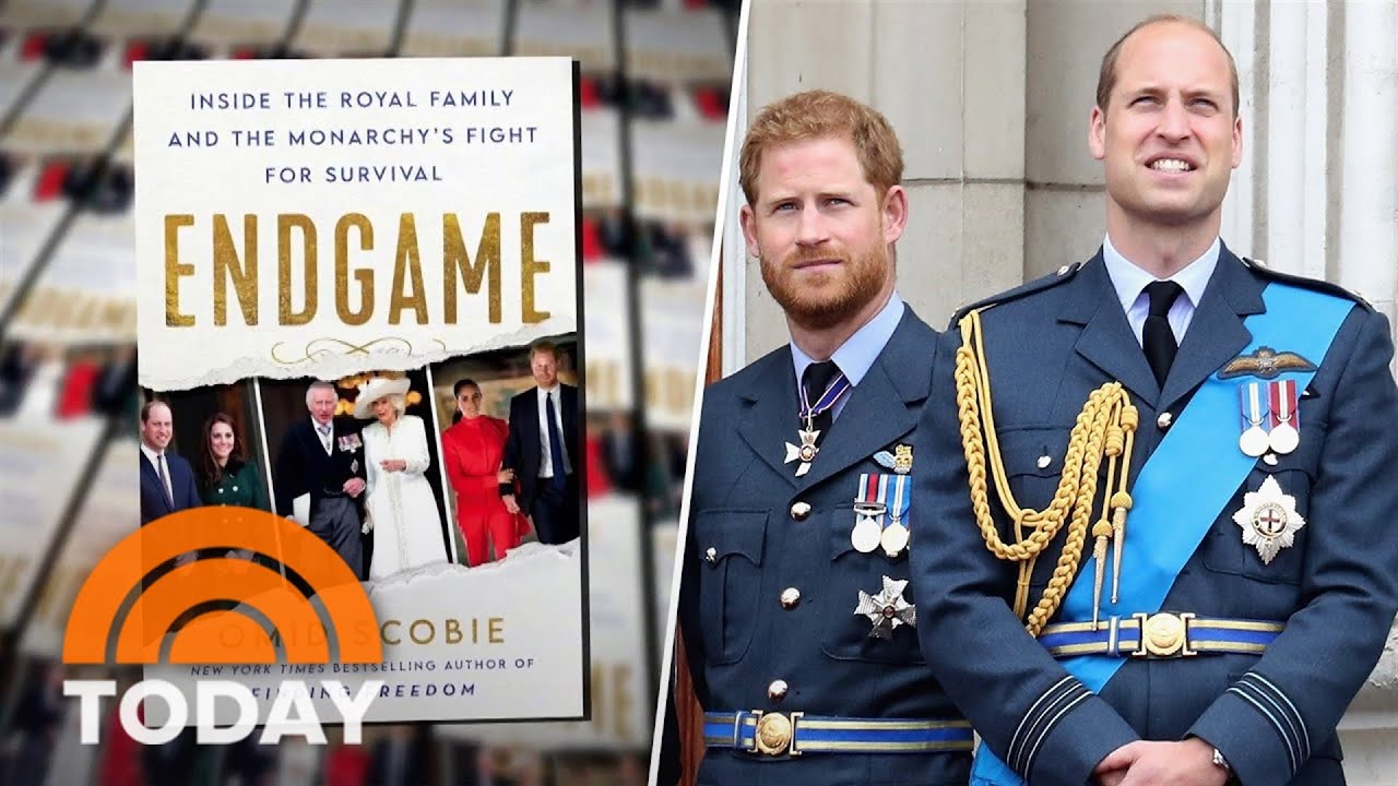 Controversial new book fuels rift between William and Harry