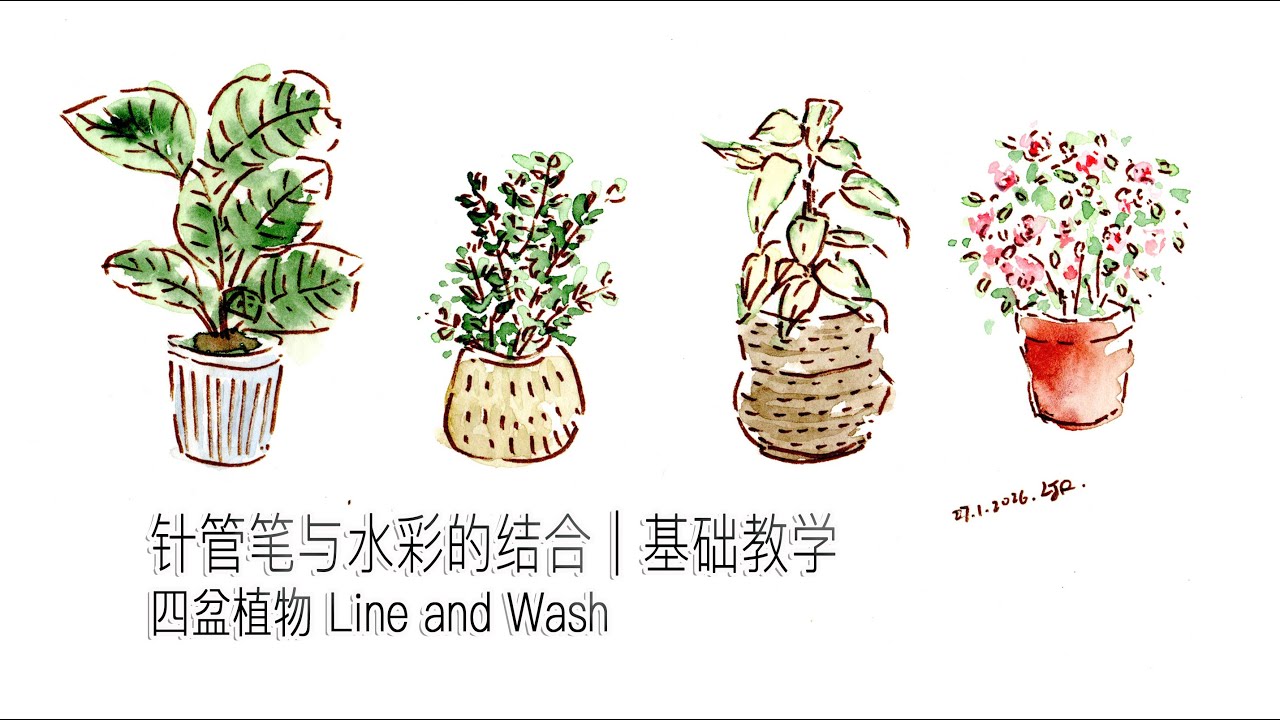 针管笔＋水彩 Line and Wash 教学｜四盆植物一步步画给初学者