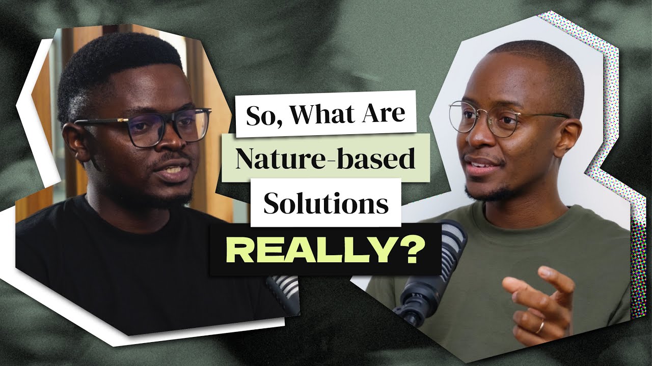 What Are Nature-based Solutions? And Why Care? | Sustainability Bongo? Ep. 2