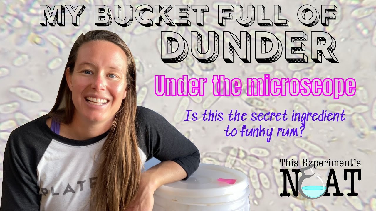 The Secret Ingredient to Funky Rum: Dunder & Muck & Microbes Oh My!