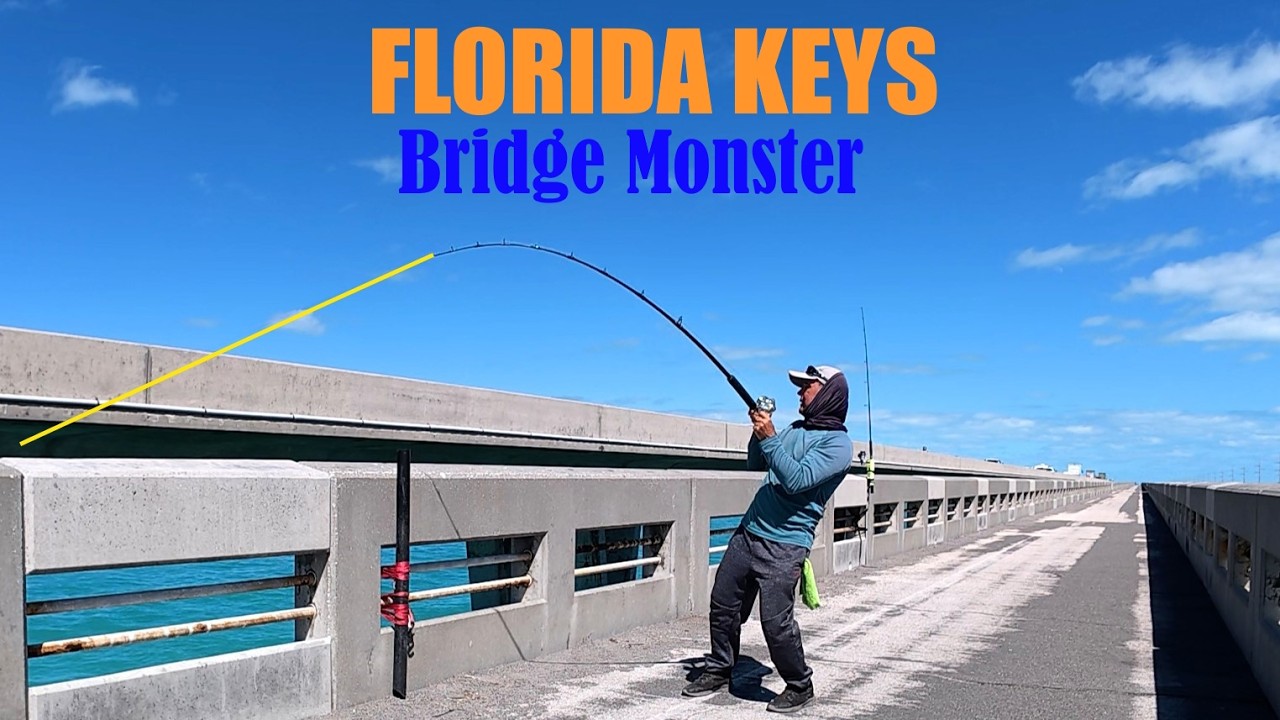 World's best Fishing Bridge! FLORIDA KEYS FISHING
