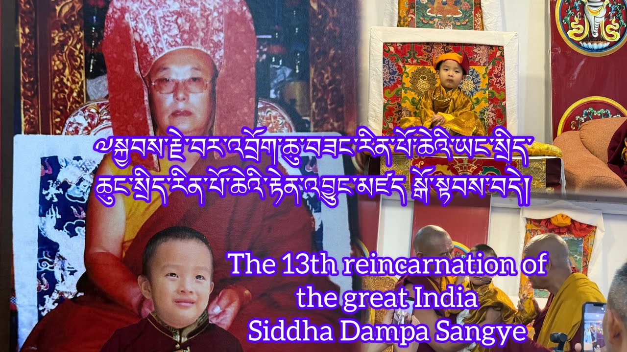 Reincarnation of His Eminence Bardok Chusang Rinpoche #tibetanvlogger  