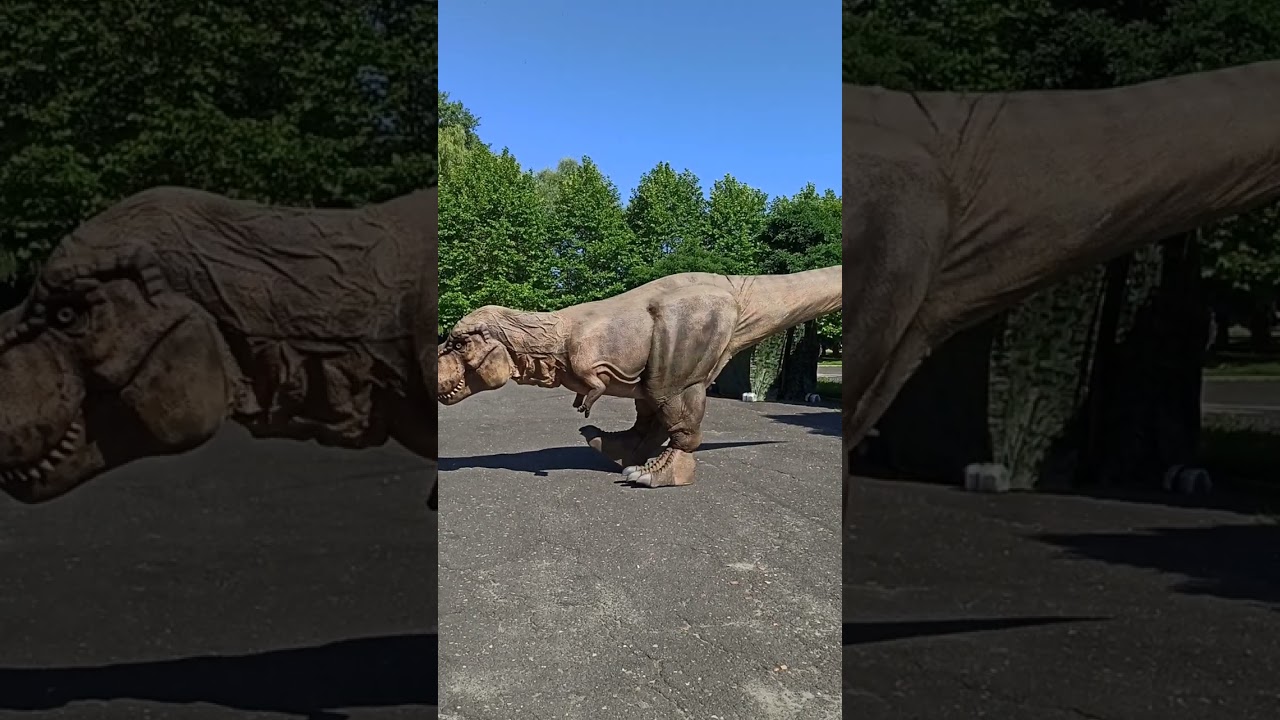 Spotkanie z Reksiem 12.08.2023 Tyranozaur CiTyREX Mysłowice