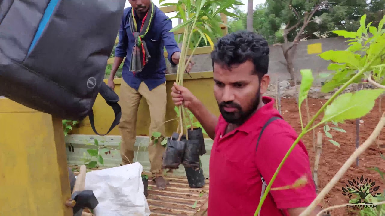 Thuvakkam miyawaki urban forest @ Prabha Industries, Ponammalle