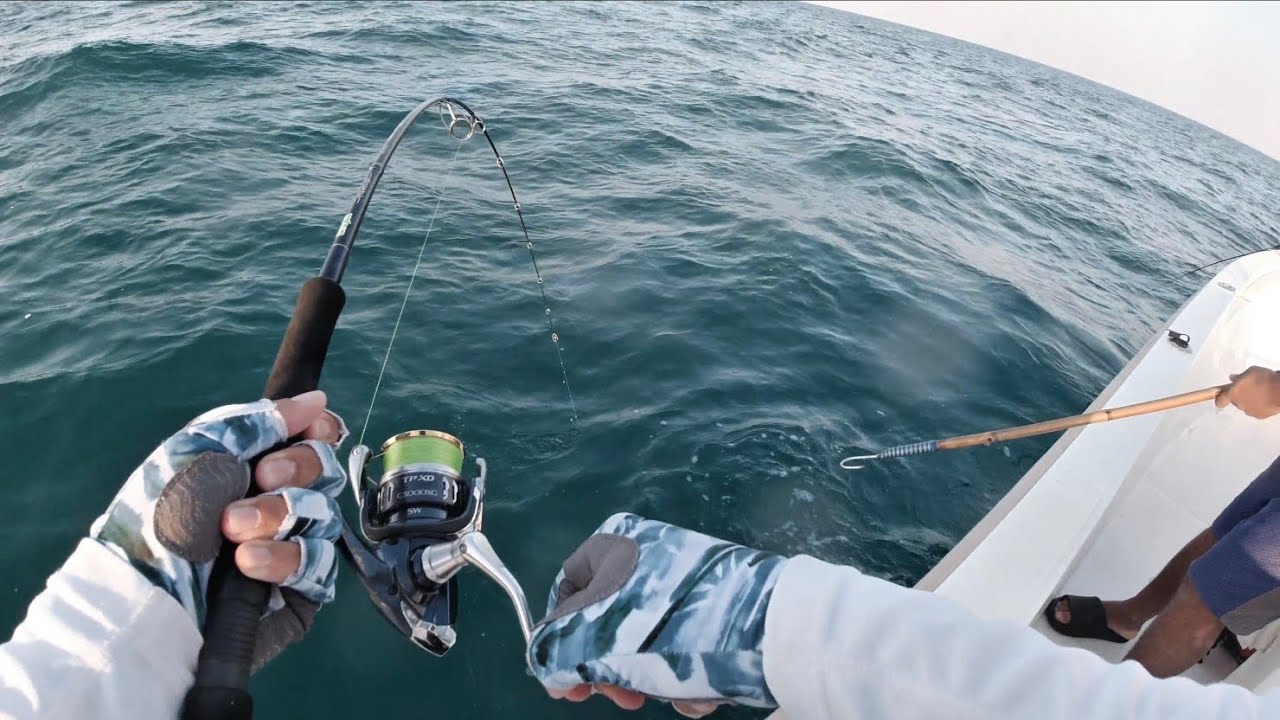 Casting for tuna in Qatar North sea