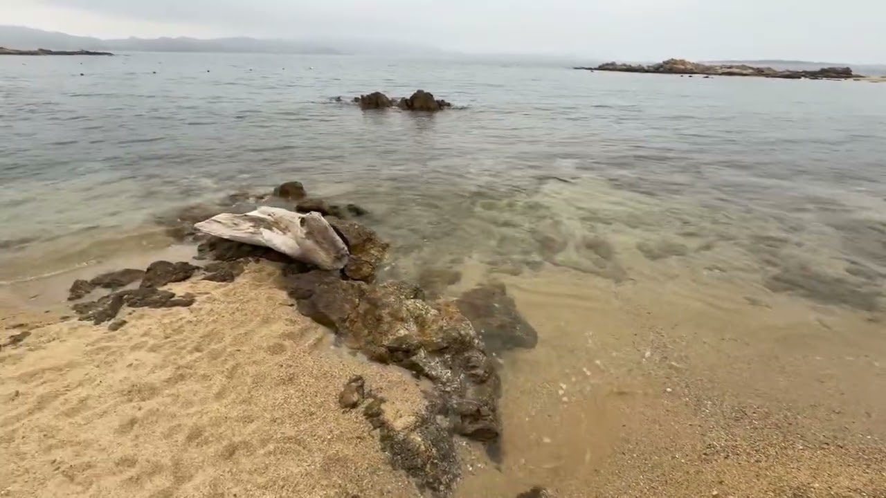 #Italy 🇮🇹 #Sardinia #PortoRotondo Punta Volpe | La Punta Volpe beach 🏖️ | walking🚶‍♀️on the beach 🏖️