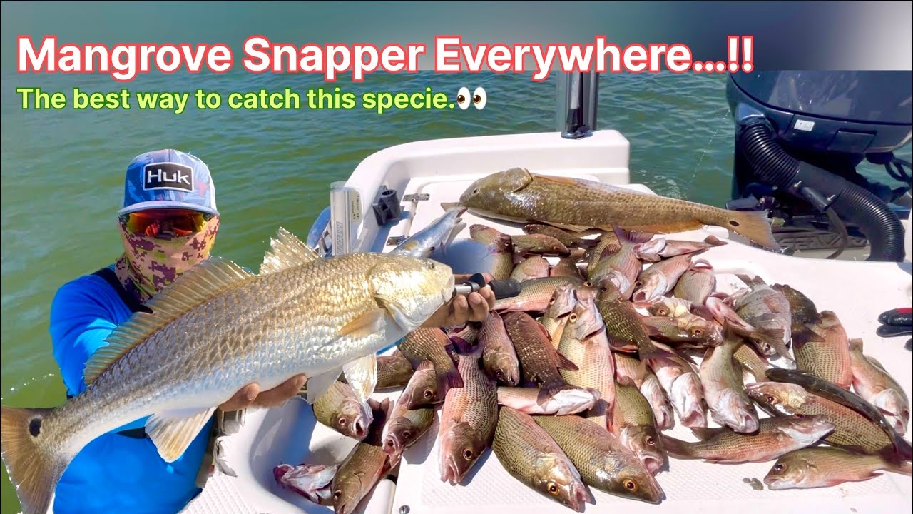 Рыбалка в районе Freeport Surfside Fishing — лучший способ поймать мангрового люциана в техасском...