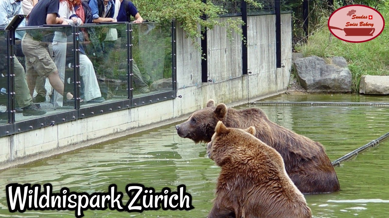 Wildnispark Wild Animals Zürich Langenberg, Langnau Switzerland/ Sundas Swiss Bakery