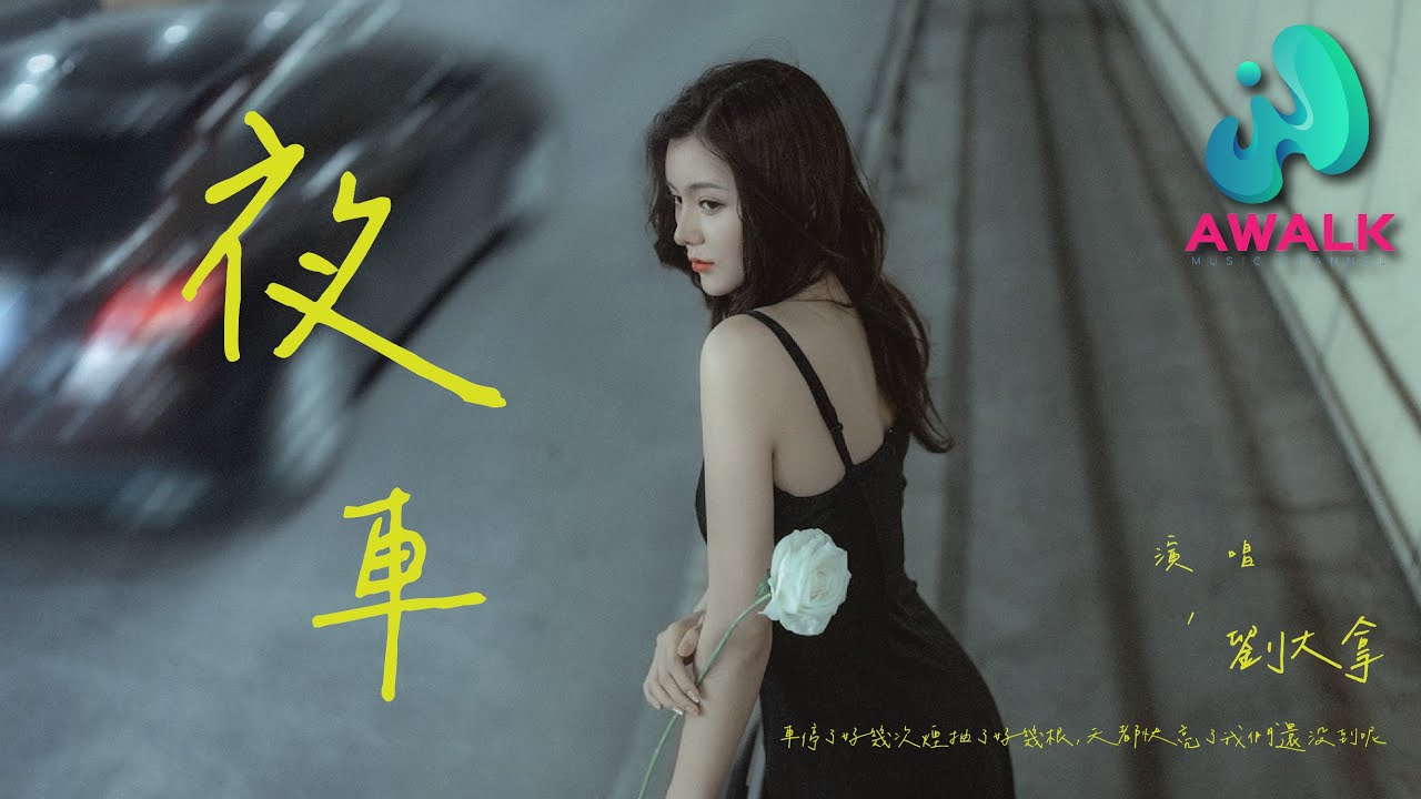 刘大拿 - 夜车（女生版）（原唱：曾轶可）『车停了好几次烟抽了好几根，天都快亮了我们还没到呢。』【动态歌词 | Pinyin Lyrics】【六月新歌】【AWALK MUSIC】