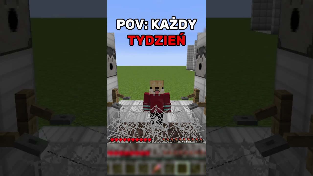 Jak naprawdę mija tydzień: