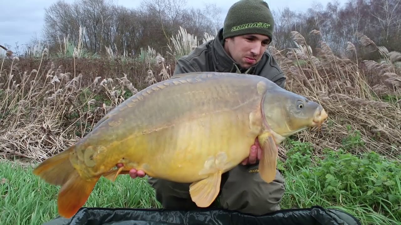JUST FOR FISH - Ouverture compteur carpe en hiver
