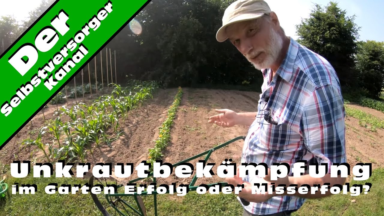 Unkrautbekämpfung im Garten Erfolg oder Misserfolg?