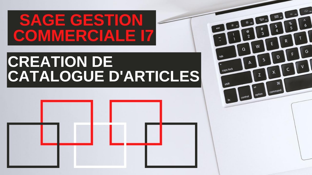 SAGE GESTION COMMERCIALE: CATALOGUE