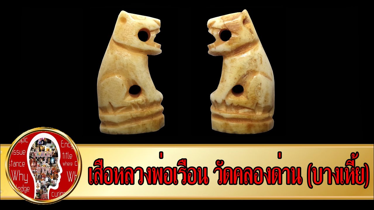 เสือหลวงพ่อเรือน วัดคลองด่าน (บางเหี้ย) ปี 2440-2453 | Eager of Know
