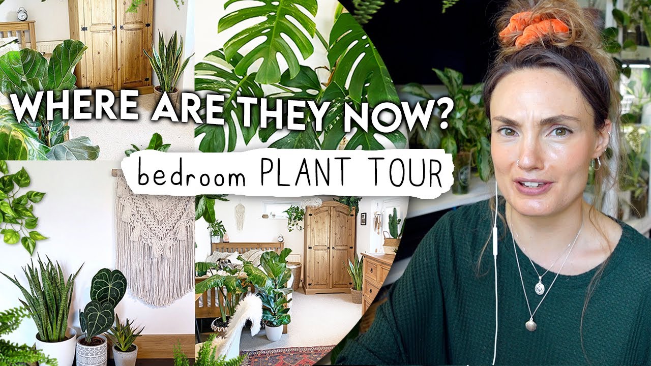 Bedroom Houseplant Tour... WHERE ARE THEY NOW?! 🌱 Reacting To My Old Room Tour