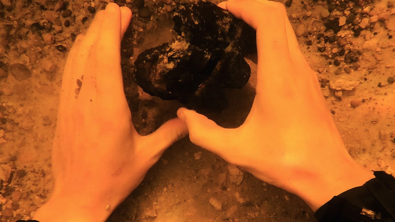 MASTODON FOSSILS!?