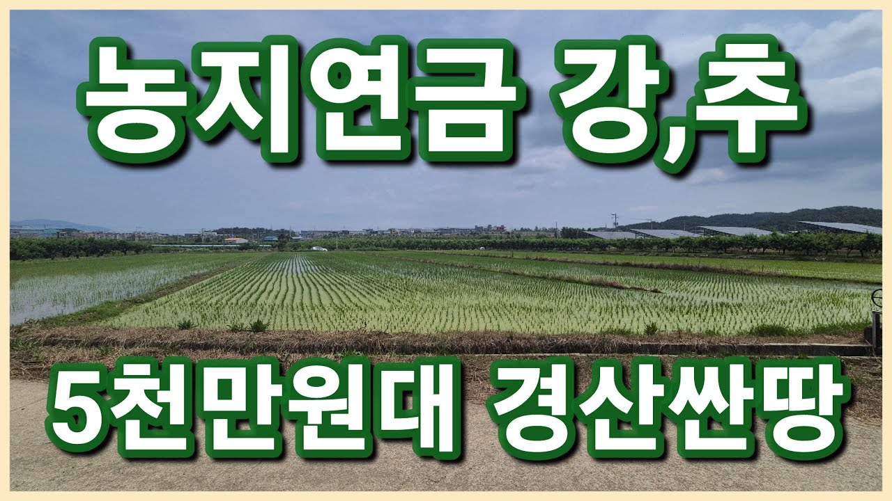 [낙찰]경산시 진량읍 읍소재지 근거리 위치한 5천만원대 567평 경산싼땅 경매로 취득해서 농지연금 주말농장으로 어때요