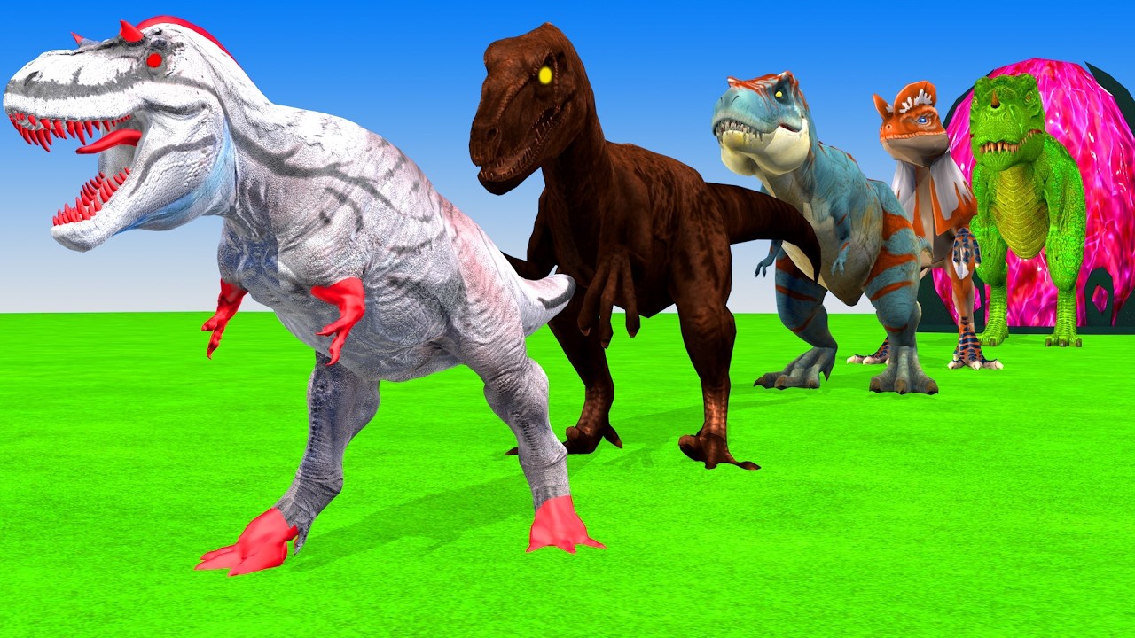 Long Slide Game With Elephant Gorilla Buffalo Hippopotamus Tiger 3d Animal Game Funny 3d Animals