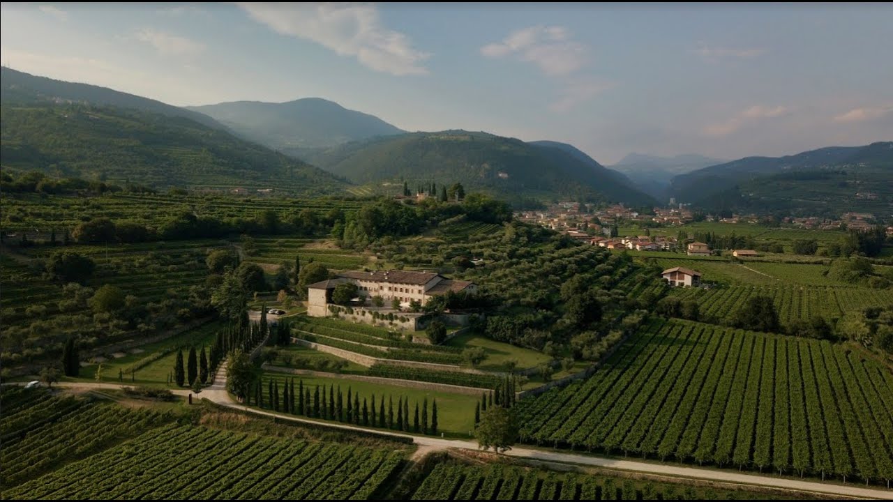 Tenute Ugolini - Vini in Valpolicella
