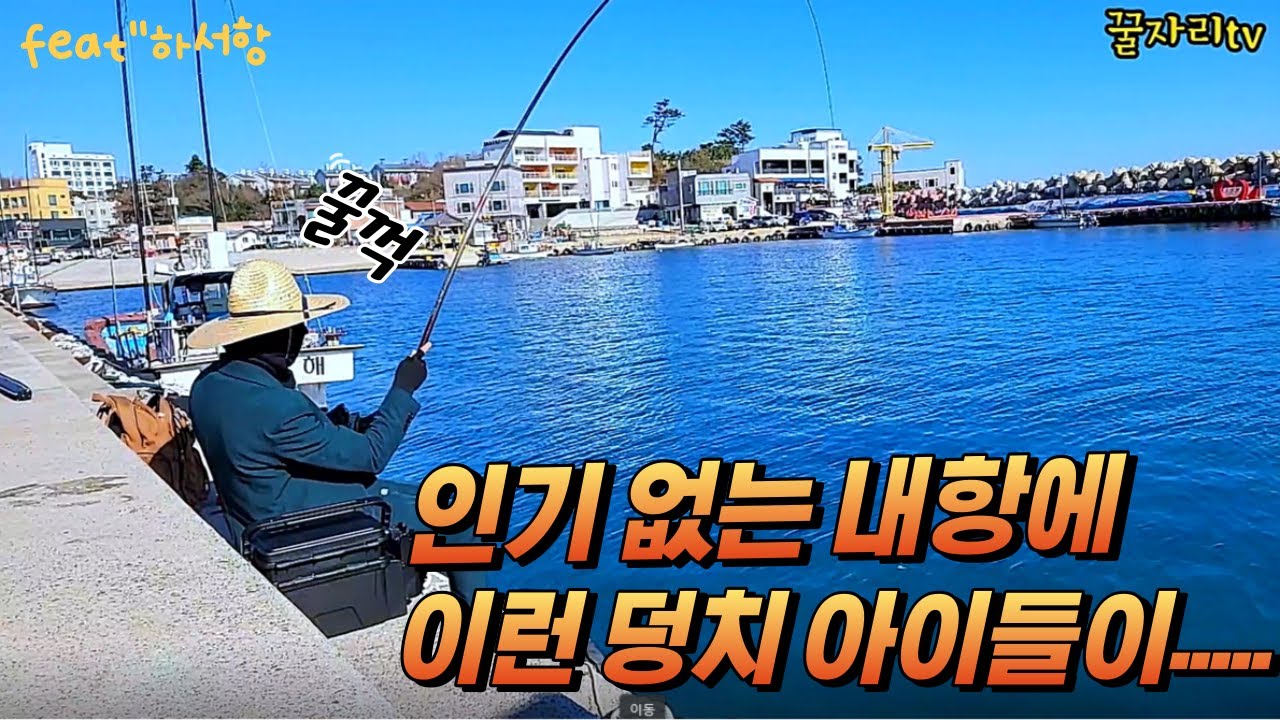 내항낚시를 그냥 지나치면 안되는 명확한 이유 !!!  fear''하서항