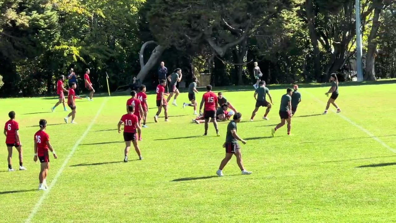 Stags vs Hawks U15 Preseason