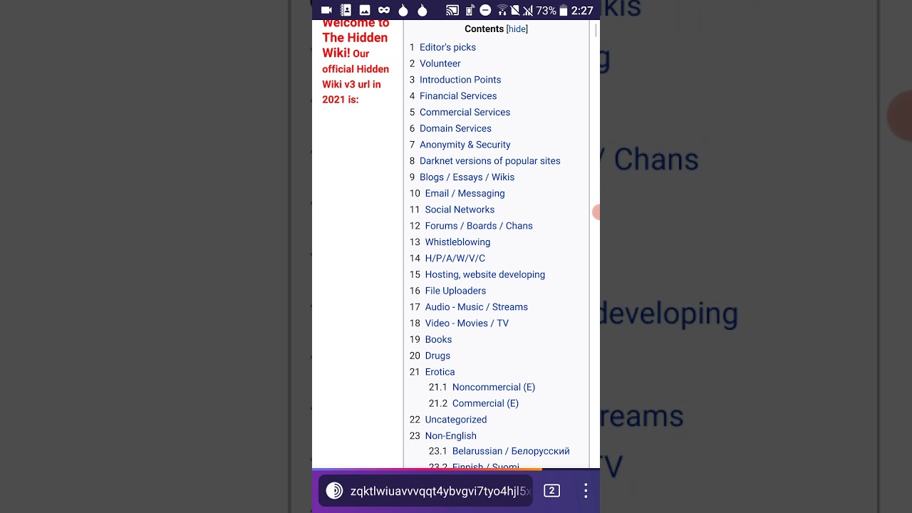 How to Access Tor Shop of the Darkweb