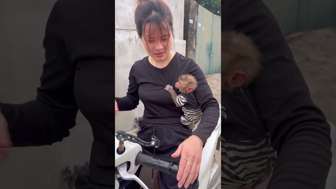 The baby monkey also wanted to go with its mother.😘