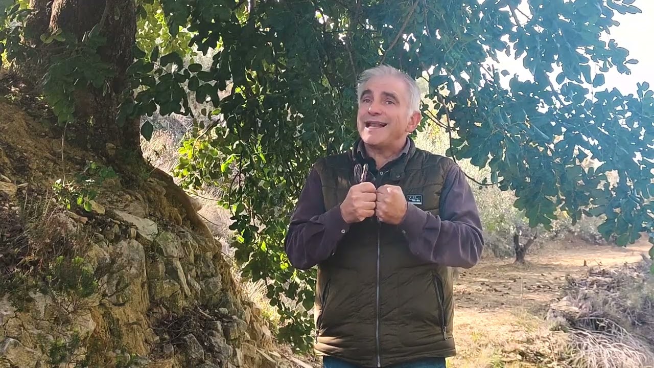 Video Enguera Macizo del Caroig