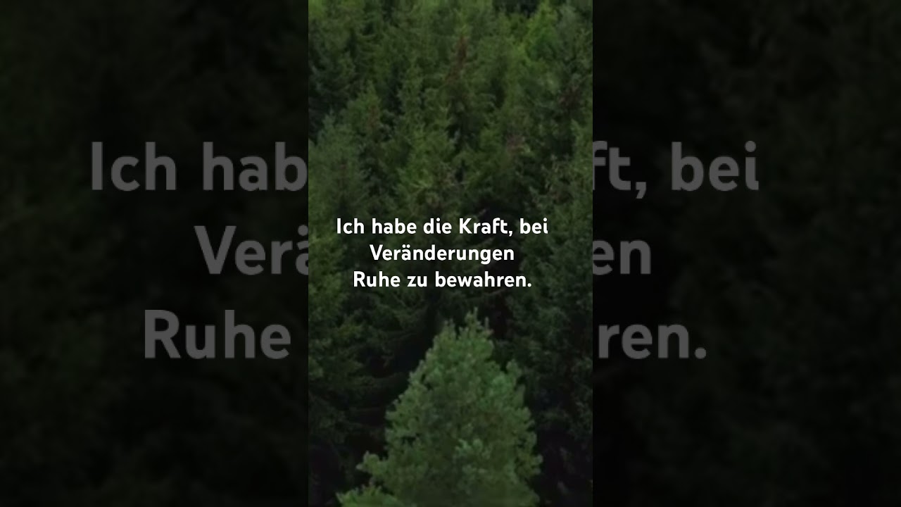 ✨ Braucht Dein Kopf mehr Ruhe? Dann gib sie ihm. Schau mal in die Beschreibung ⬇️