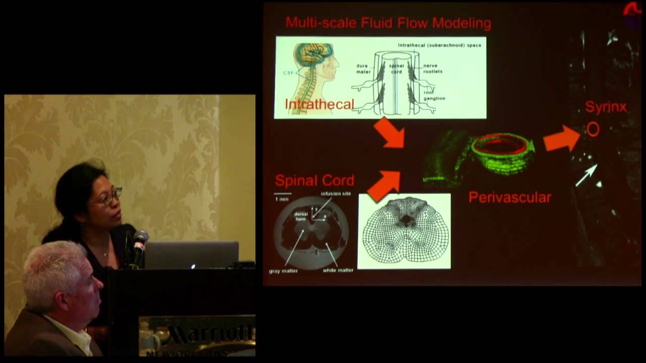 Mapping Perivascular Spaces in the Spinal Cord: Towards Improved Spinal Cord Flow