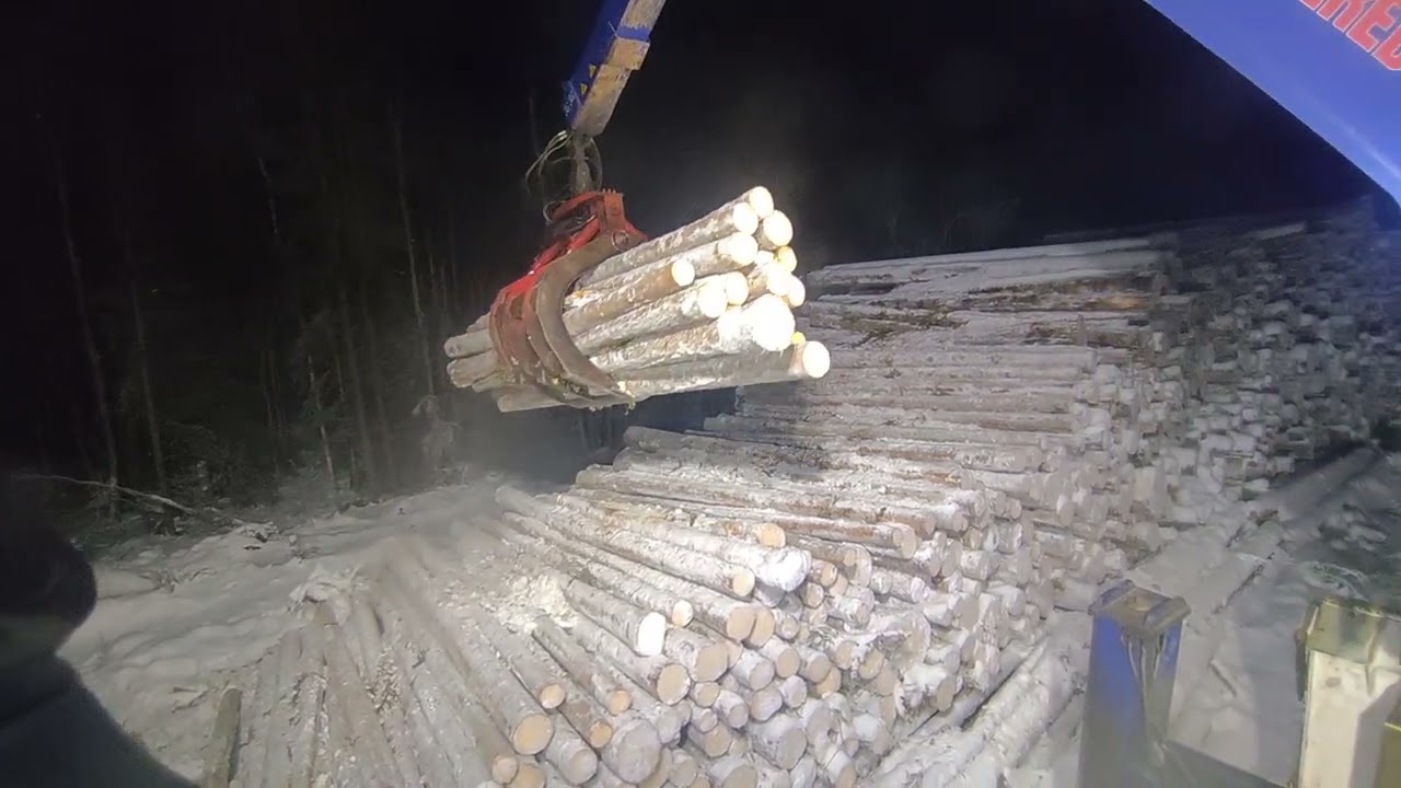 Separatlastare. Loading  timber with a timberman mc31